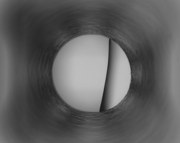 X0000086790132200705111823