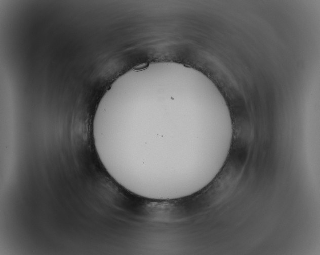 X0000086790133200705111823