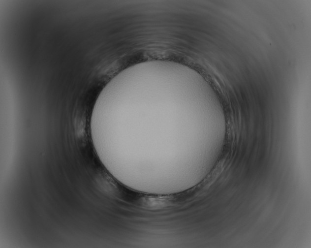 X0000086790134200705111823