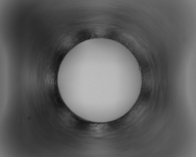 X0000086790135200705111823