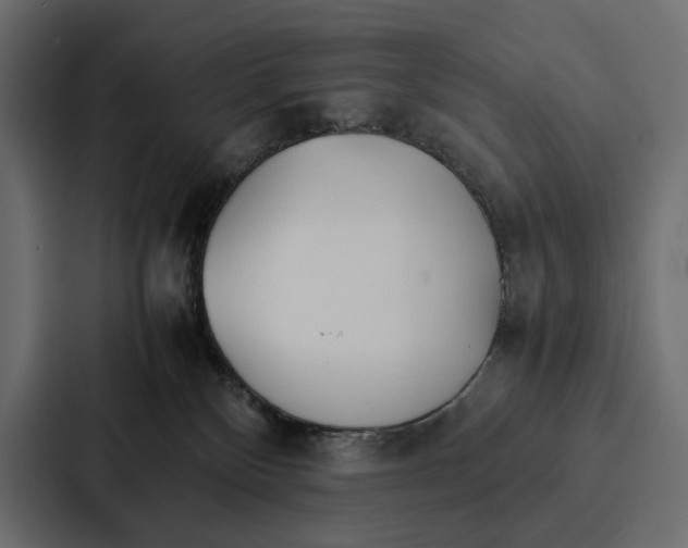 X0000086790136200705111823