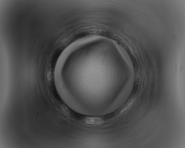 X0000086790137200705111823