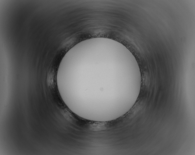 X0000086790138200705111823