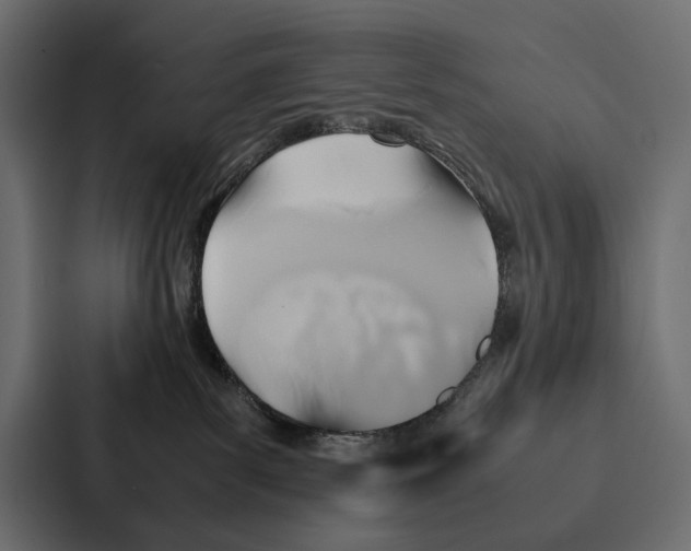 X0000086790139200705111823