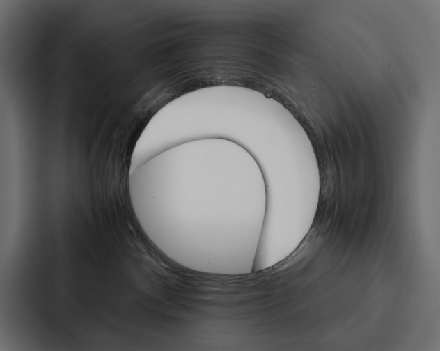 X0000086790140200705111823