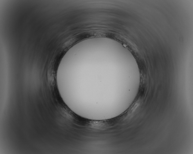 X0000086790141200705111823