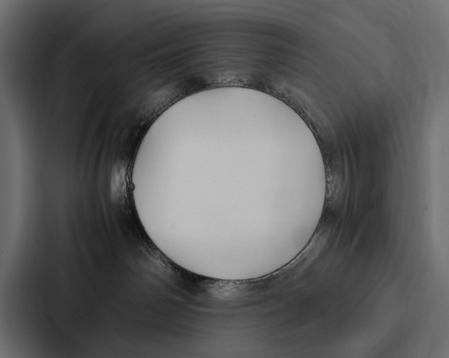 X0000086790142200705111823