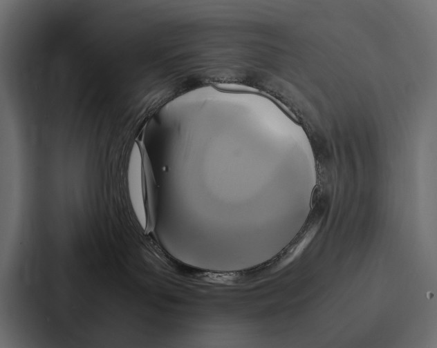 X0000086790143200705111823