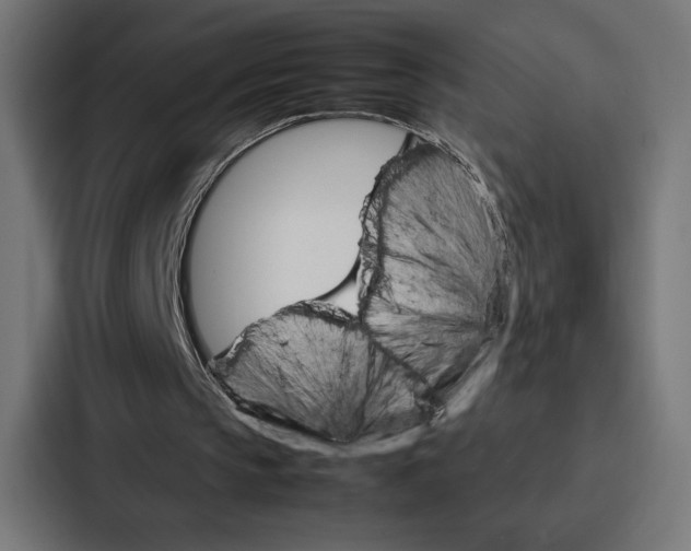 X0000086790145200705111822