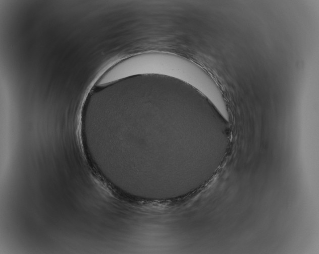 X0000086790148200705111822