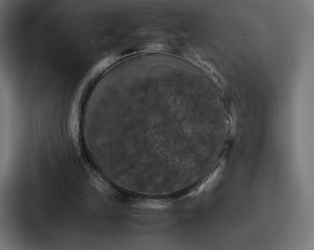 X0000086790149200705111822