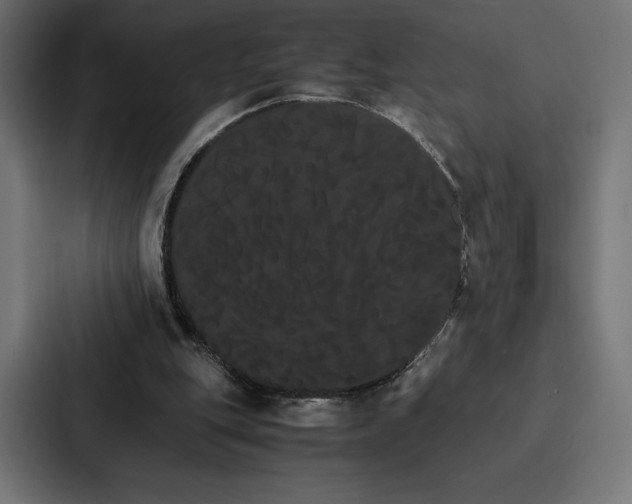 X0000086790151200705111822