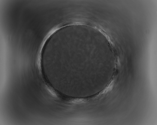 X0000086790152200705111822