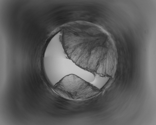 X0000086790153200705111822