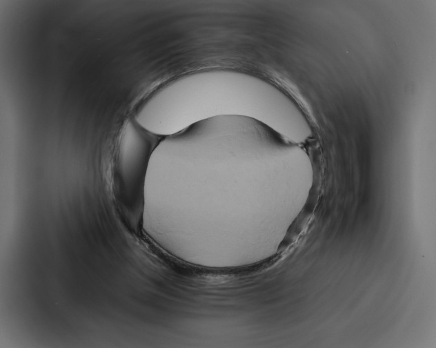 X0000086790154200705111822