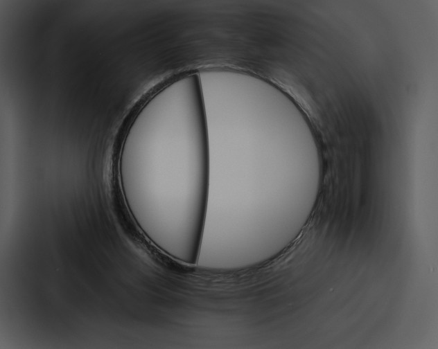 X0000086790156200705111822