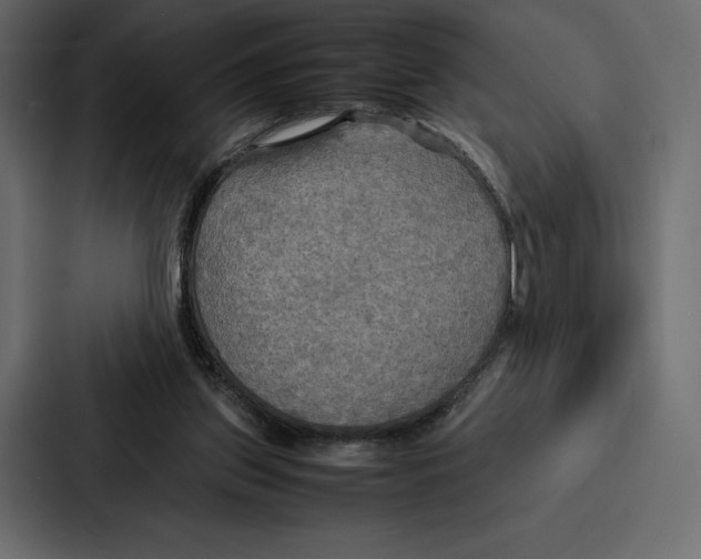 X0000086790157200705111822