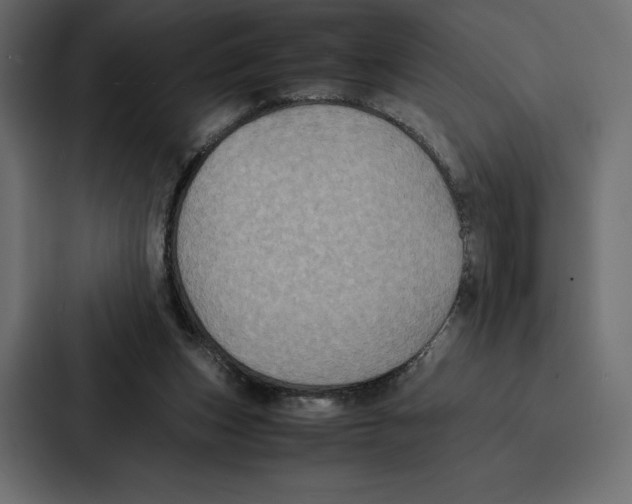 X0000086790159200705111822