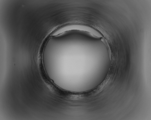 X0000086790160200705111822