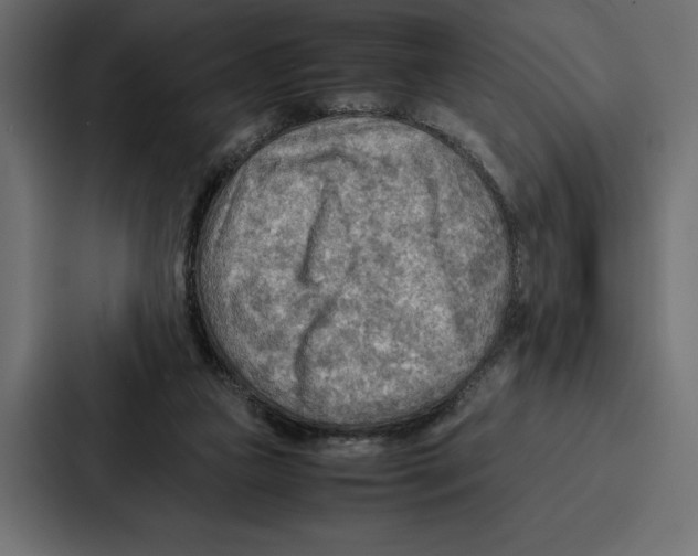 X0000086790161200705111822