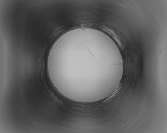 X0000086790162200705111822