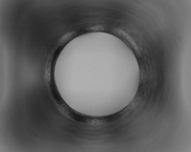 X0000086790163200705111822