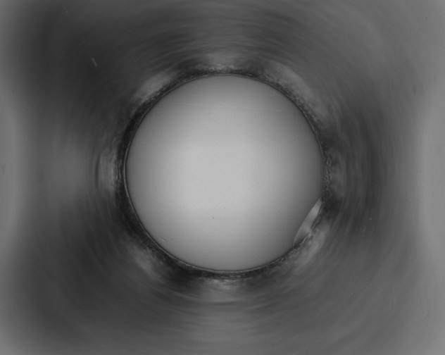 X0000086790164200705111822