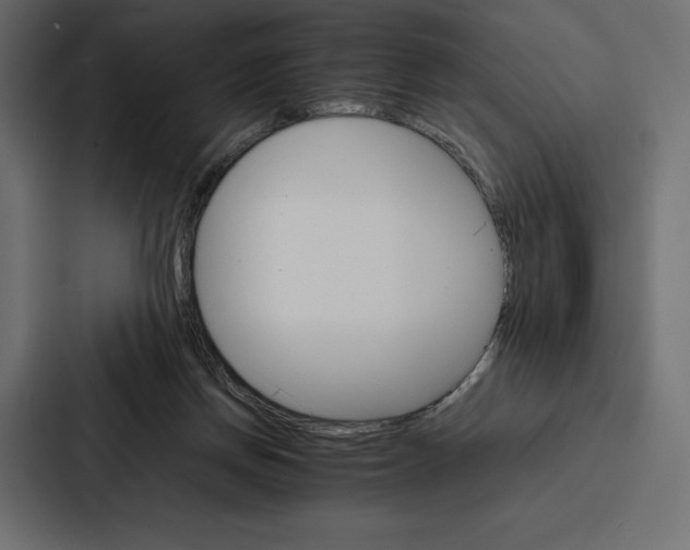 X0000086790166200705111822