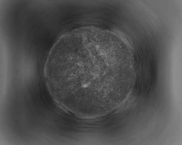 X0000086790167200705111822