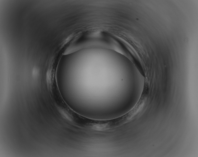 X0000086790168200705111822