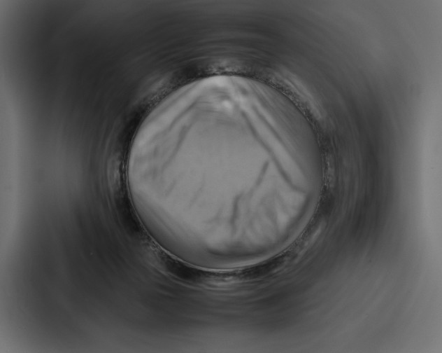 X0000086790169200705111822