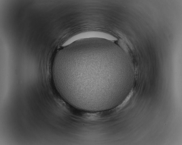 X0000086790170200705111822