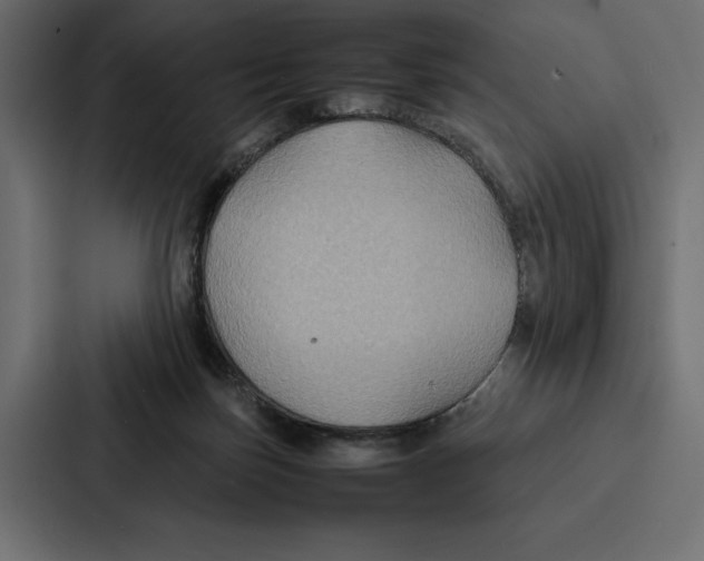 X0000086790171200705111822