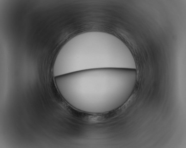 X0000086790172200705111822