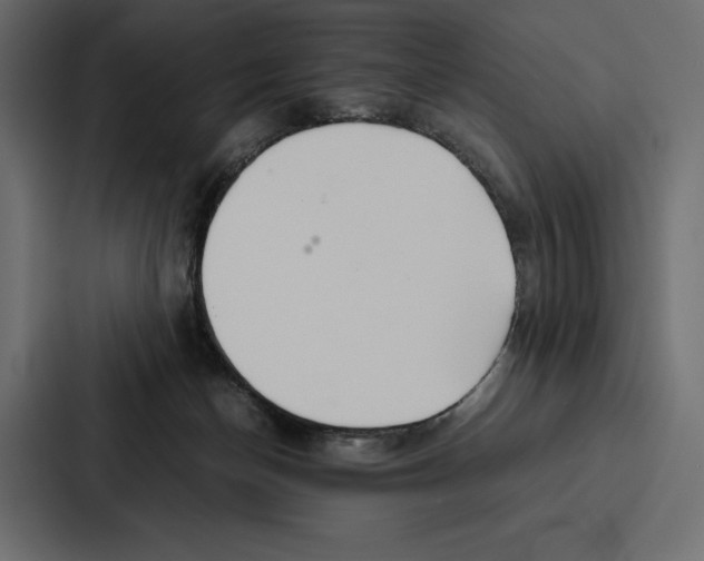 X0000086790174200705111822