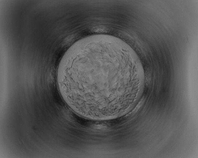 X0000086790175200705111822