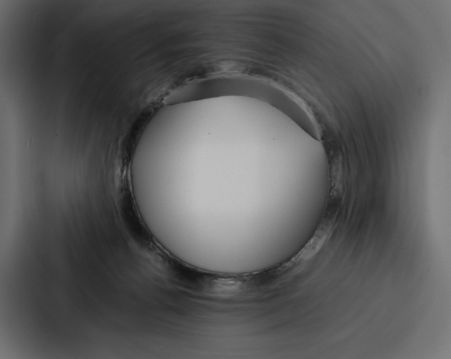 X0000086790176200705111822