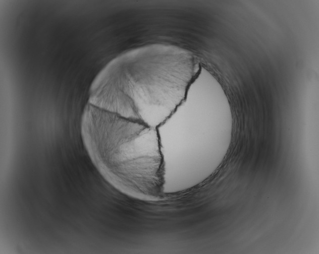 X0000086790177200705111822