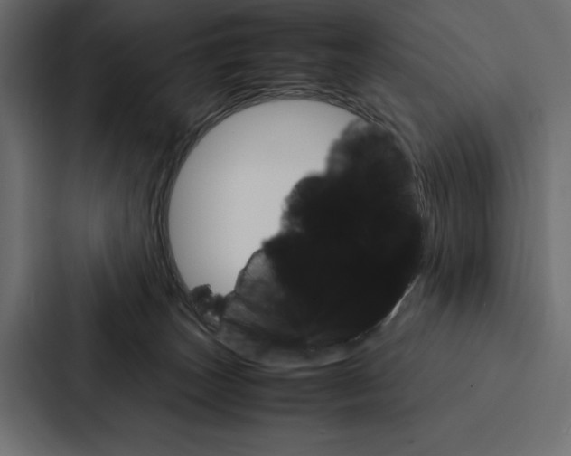 X0000086790179200705111822