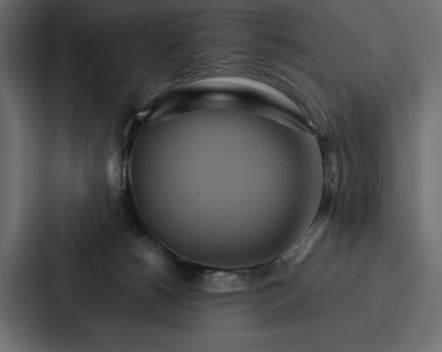 X0000086790180200705111822