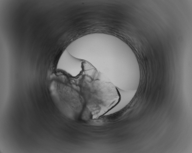 X0000086790181200705111822