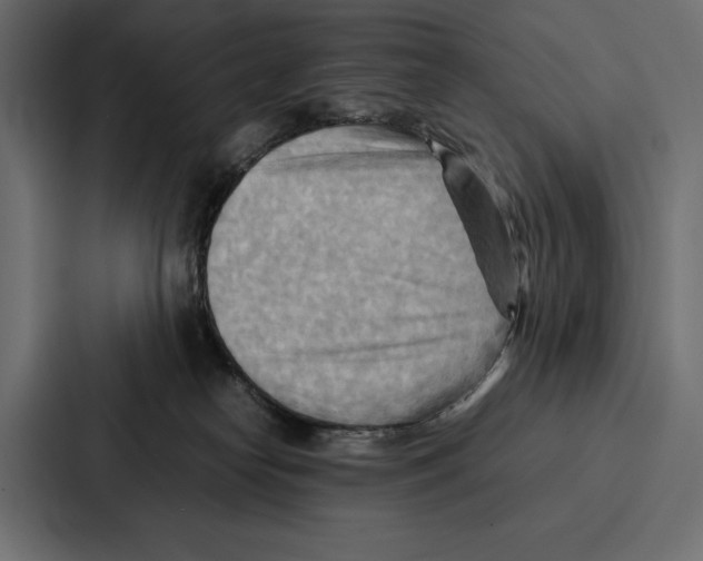 X0000086790182200705111822