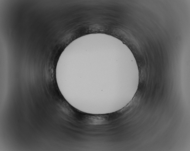 X0000086790183200705111822