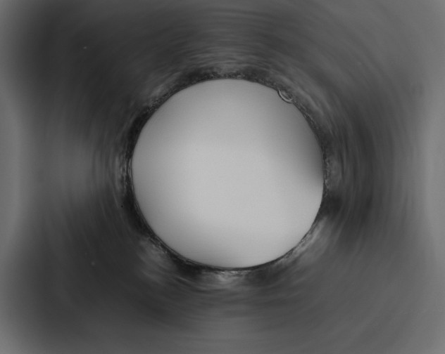 X0000086790184200705111822