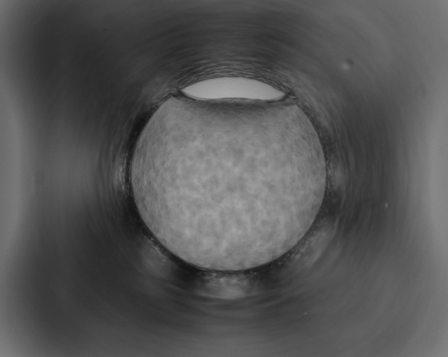 X0000086790185200705111822