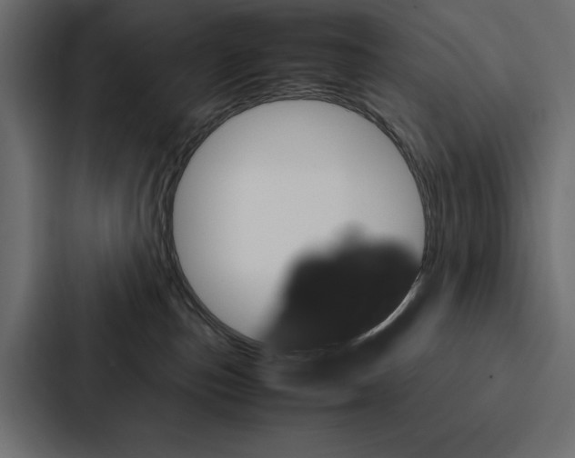 X0000086790187200705111822