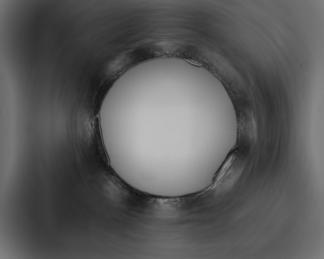 X0000086790188200705111822