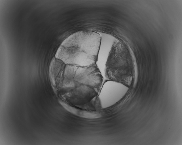 X0000086790189200705111822