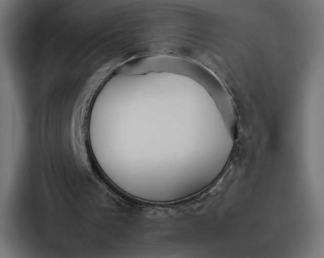 X0000086790193200705111822