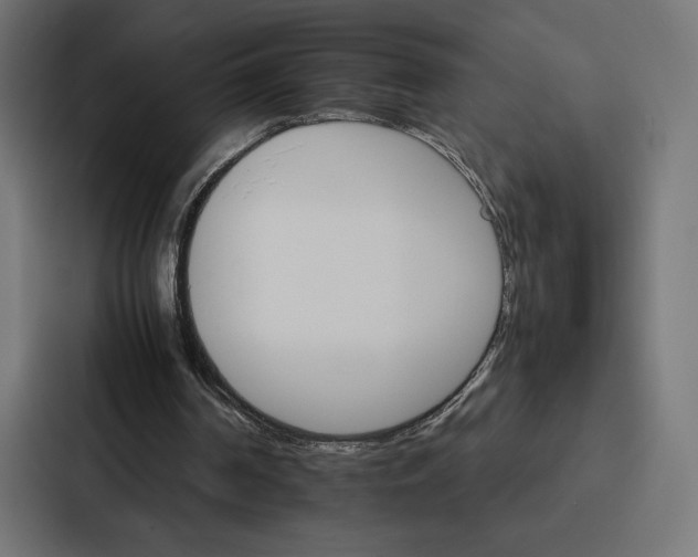 X0000086790194200705111822